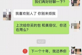 昌宁贷款清欠服务